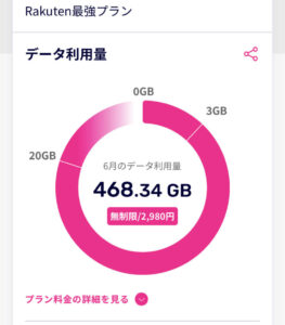 楽天モバイル通信量